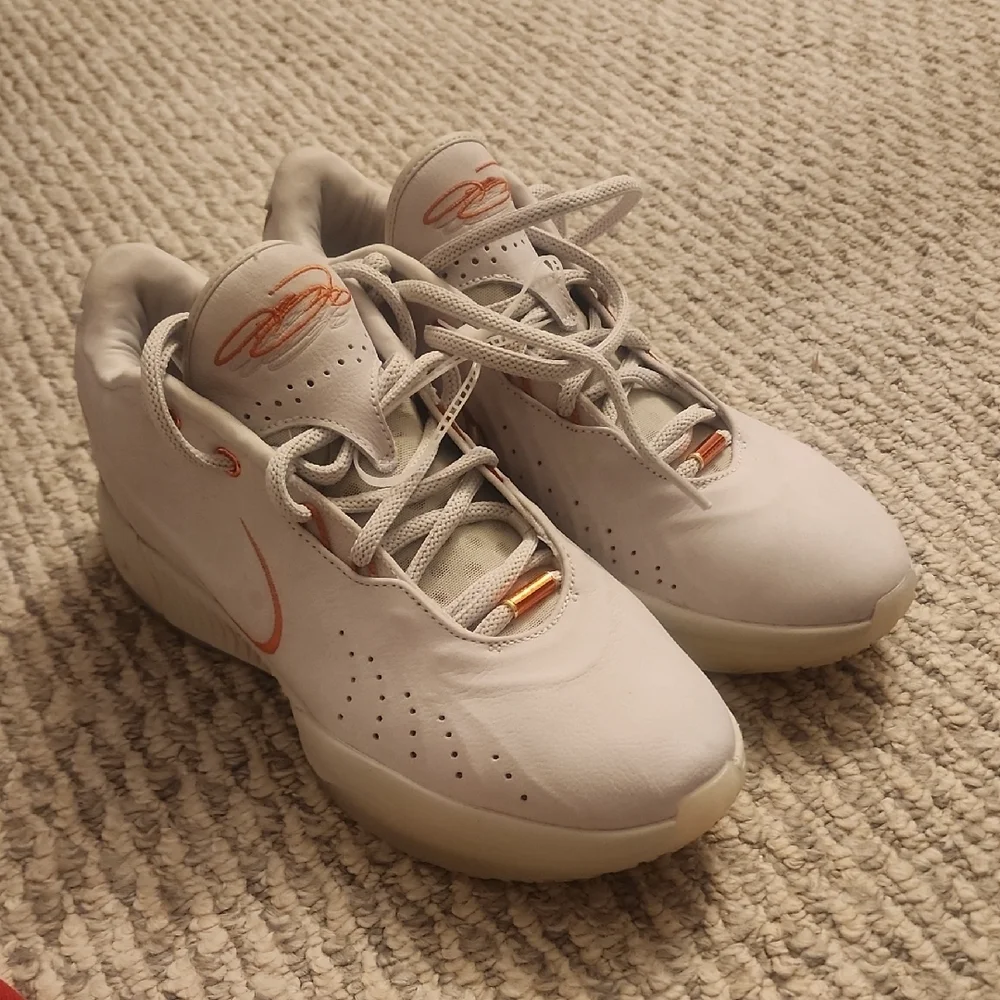 Nike LeBrons 21 Akoya Sneakers Size 10